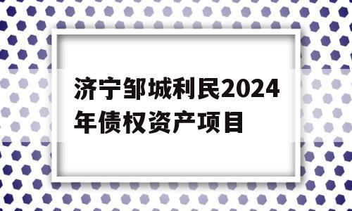 济宁邹城利民2024年债权资产项目