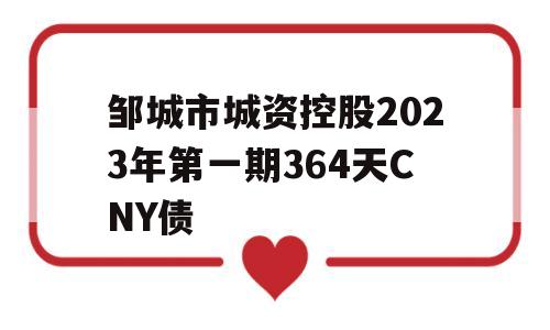 邹城市城资控股2023年第一期364天CNY债