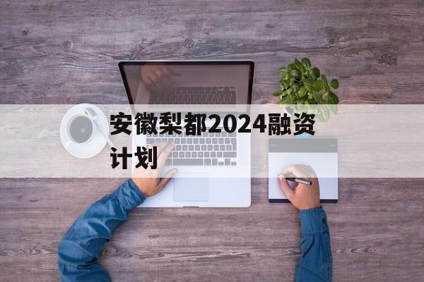 安徽梨都2024融资计划