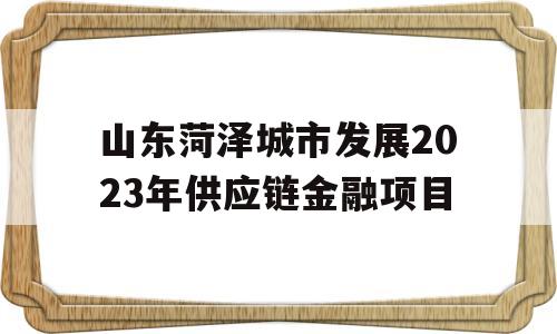 山东菏泽城市发展2023年供应链金融项目