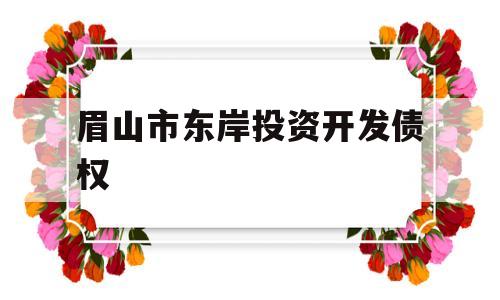 眉山市东岸投资开发债权