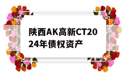 陕西AK高新CT2024年债权资产