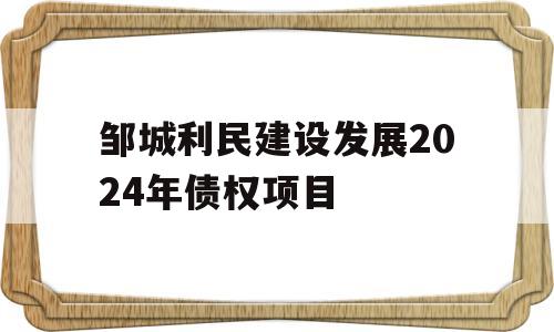 邹城利民建设发展2024年债权项目