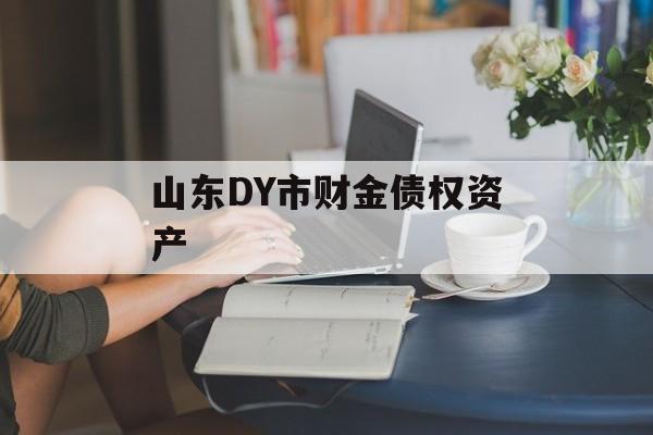 山东DY市财金债权资产