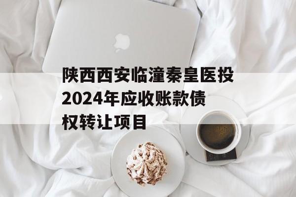 陕西西安临潼秦皇医投2024年应收账款债权转让项目