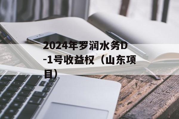 2024年罗润水务D-1号收益权（山东项目）