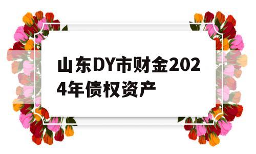 山东DY市财金2024年债权资产