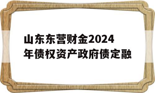 山东东营财金2024年债权资产政府债定融