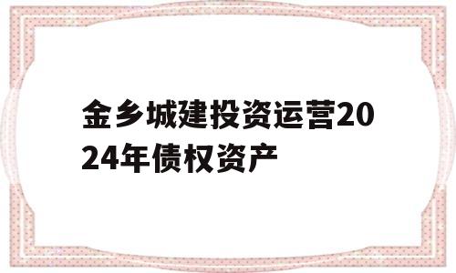 金乡城建投资运营2024年债权资产