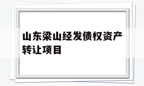 山东梁山经发债权资产转让项目