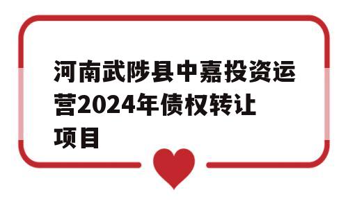 河南武陟县中嘉投资运营2024年债权转让项目