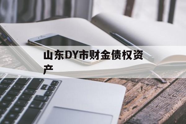 山东DY市财金债权资产