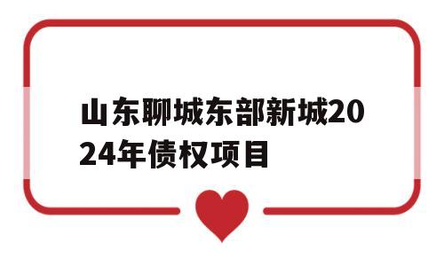 山东聊城东部新城2024年债权项目