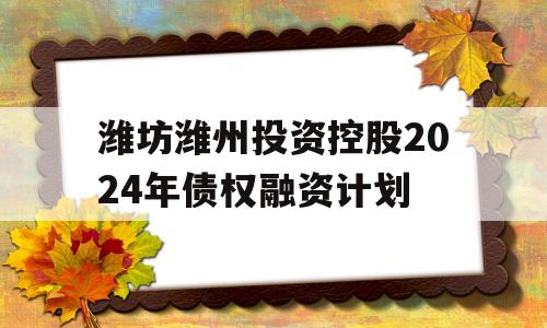 潍坊潍州投资控股2024年债权融资计划